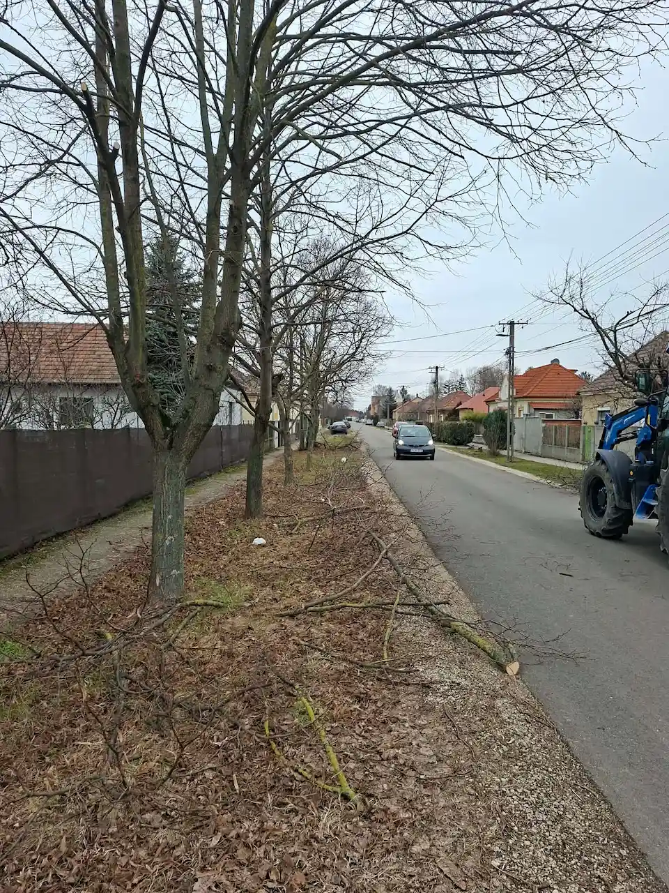 Tájékoztatás – Fametszési munkálatok kezdődtek a községben
